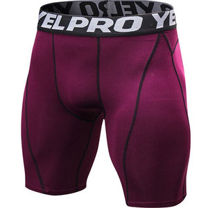 PRO Fitness  Shorts