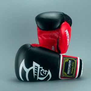 Spartan Boxing Gloves